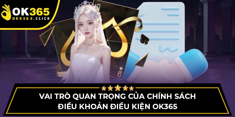 Vai trò quan trọng của chính sách điều khoản điều kiện OK365