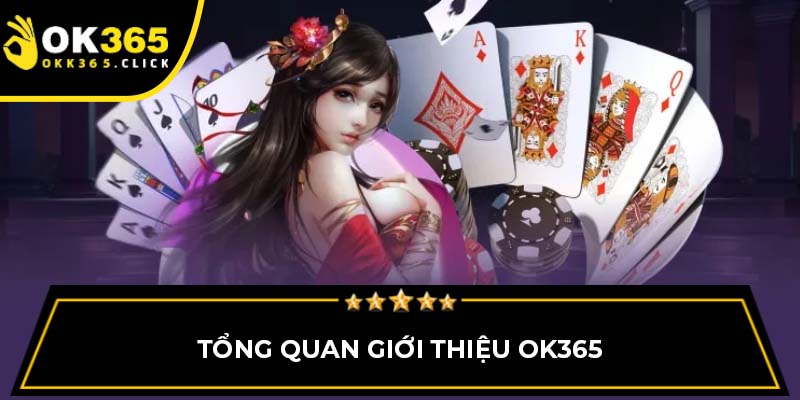 Tổng quan giới thiệu OK365