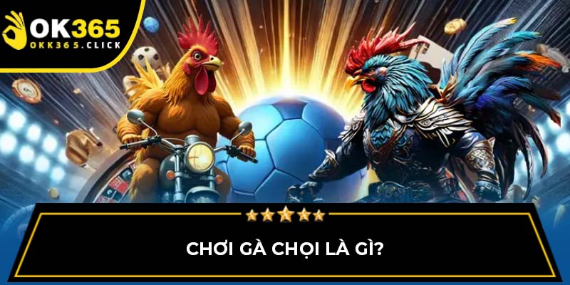 Chơi gà chọi là gì?