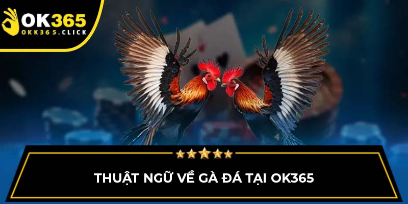 Thuật ngữ về gà đá tại OK365