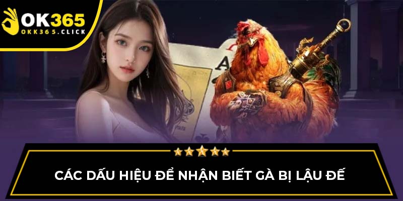 Các dấu hiệu để nhận biết gà bị lậu đế 