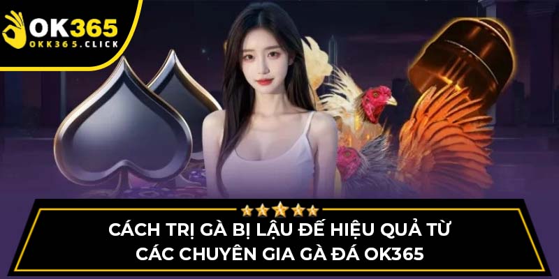 Cách trị gà bị lậu đế hiệu quả từ các chuyên gia gà đá OK365