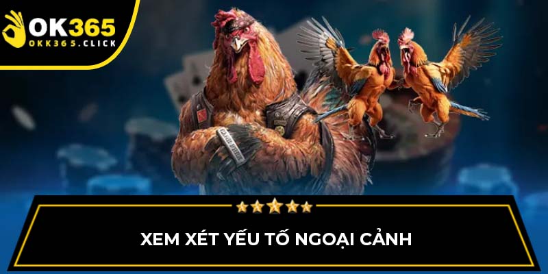 Xem xét yếu tố ngoại cảnh