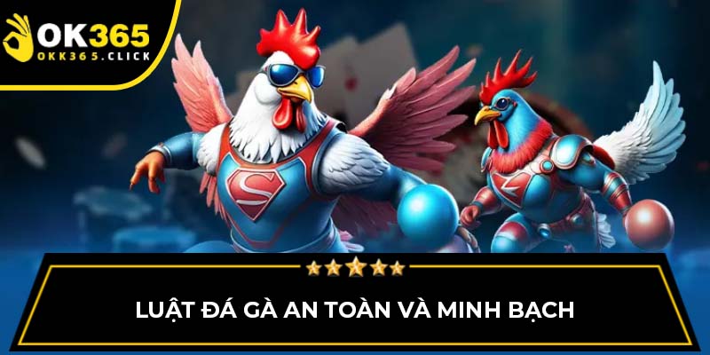 Luật đá gà an toàn và minh bạch