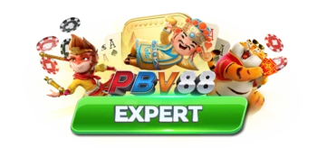 PBV88 Expert